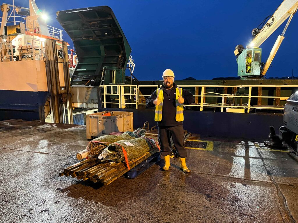 St Mary's Quay team member with christmas trees