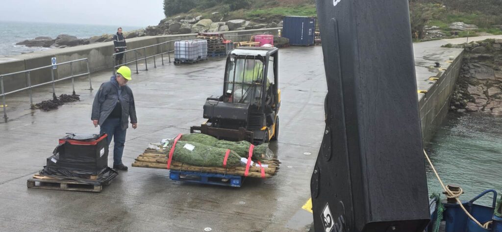 Christmas trees on St Martin's Quay on forklift