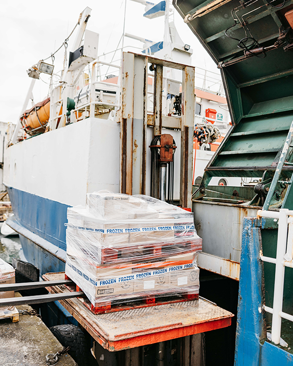 Frozen food being loaded onto Gry Martiha to be shipped to the Isles of Scilly