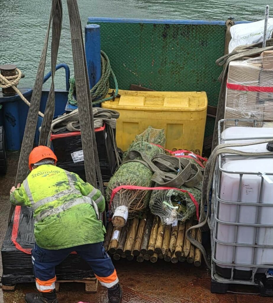 Christmas trees aboard Lyonesse Lady