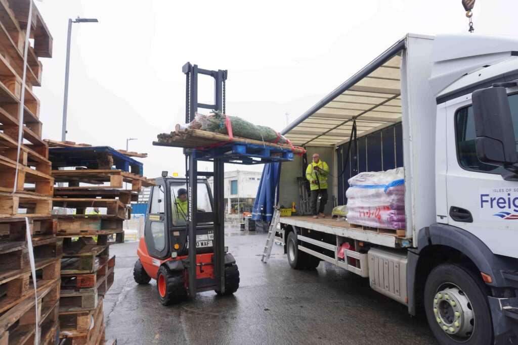 Forklift picking up Christmas tree out of lorry on quay